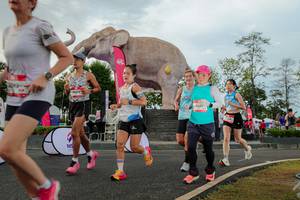 BIB: 
                            <button type="button" onclick="openModal(26528557)" class="btn btn-primary btn-sm float-right btn-popup" data-toggle="modal" data-target=".modal-high-quality">
                        <i class="fas fa-shopping-cart"></i> Add to Cart
                    </button>
                                            <button type="button" onclick="isThisMe(26528557, true)" class="btn btn-success btn-sm float-right btn-popup btn-isme hidden" data-toggle="tooltip" data-placement="bottom" title="นี่คือรูปของคุณใช่ไหม คลิกที่นี่เพื่อเอาเข้าอัลบั้ม">
                        <i class="fas fa-plus"></i> Add to album
                    </button>
                    <button type="button" onclick="isThisMe(26528557, false)" class="btn btn-warning btn-sm float-right btn-popup btn-isnotme hidden">
                        <i class="fas fa-ban"></i> Remove from album
                    </button>